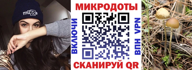 Галлюциногенные грибы мицелий  Городец 