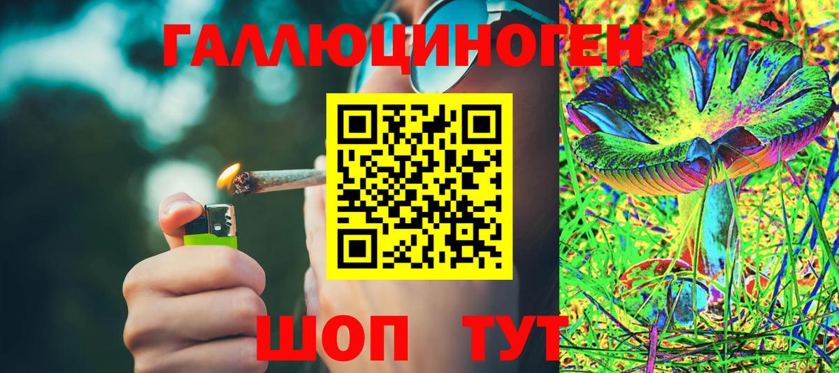 Галлюциногенные грибы MAGIC MUSHROOMS Городец
