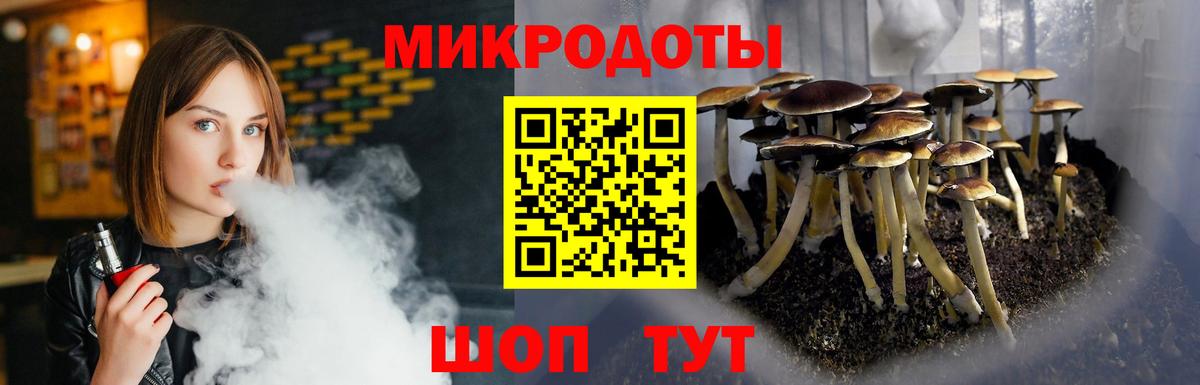 Городец  Галлюциногенные грибы ЛСД  Галлюциногенные грибы мухоморы  Вход с VPN 